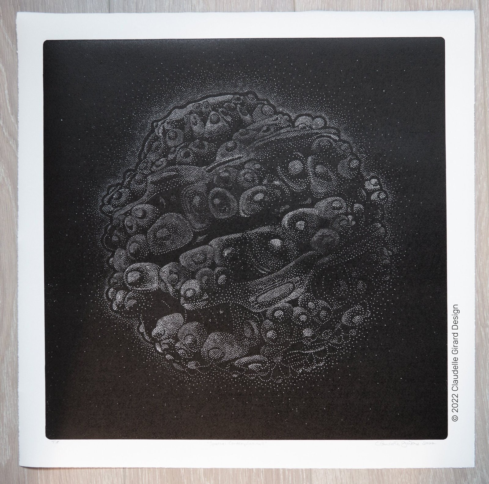 Spatial Contemplation II